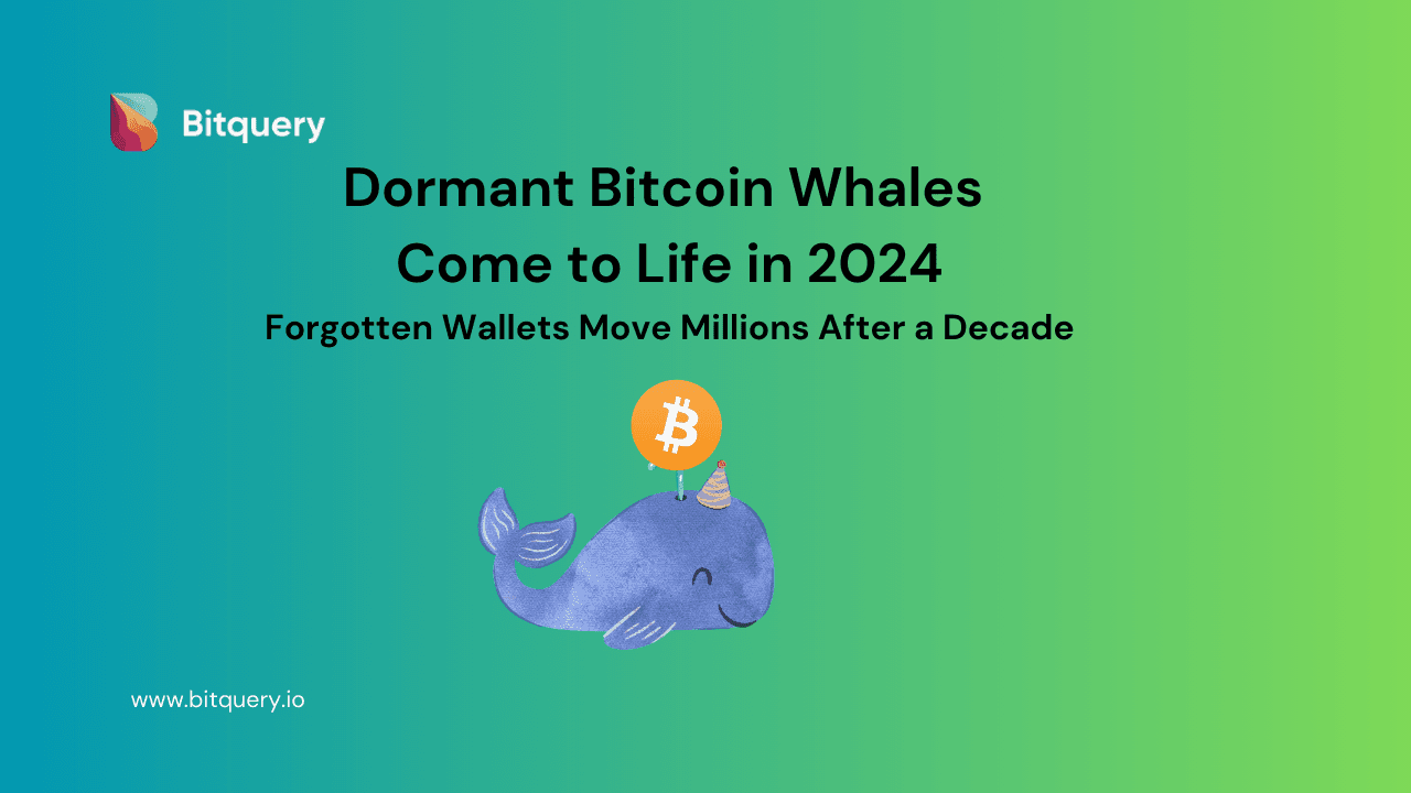 Cover Image for 10+ Year Dormant Bitcoin Whales Come to Life in 2024