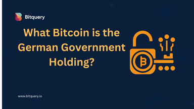 Inside Germany's Bitcoin Reserves: What is the Government Holding?