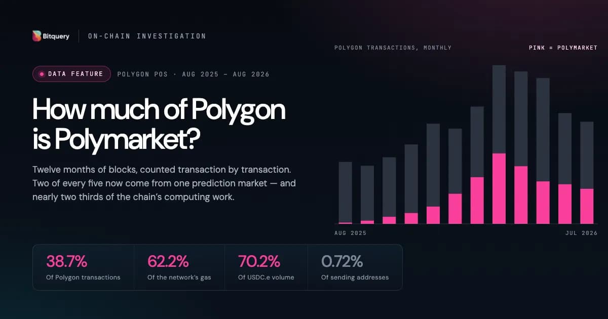 Cover Image for How Much of Polygon Is Polymarket? We Counted Every Transaction