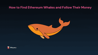 How to Find Ethereum Whales and Follow Their Money