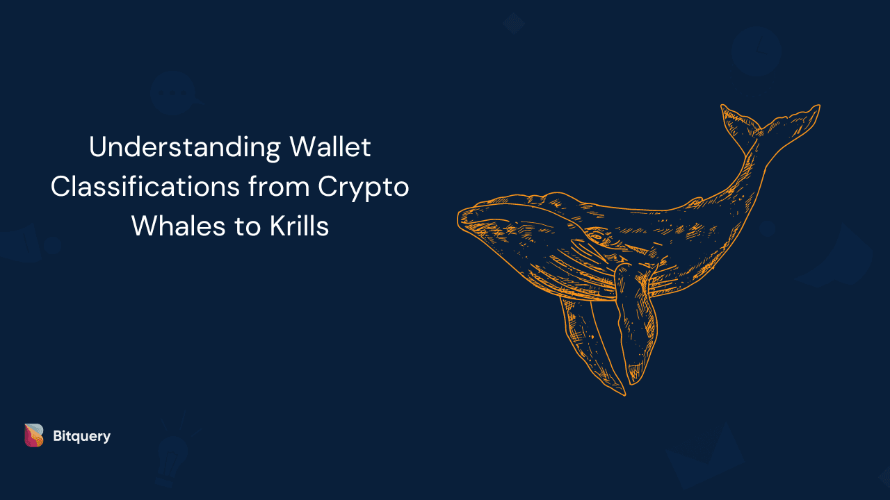 Cover Image for Understanding Wallet Classifications from Crypto Whales to Krills