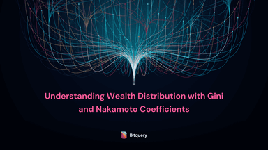 Understanding Wealth Distribution with Gini and Nakamoto Coefficients