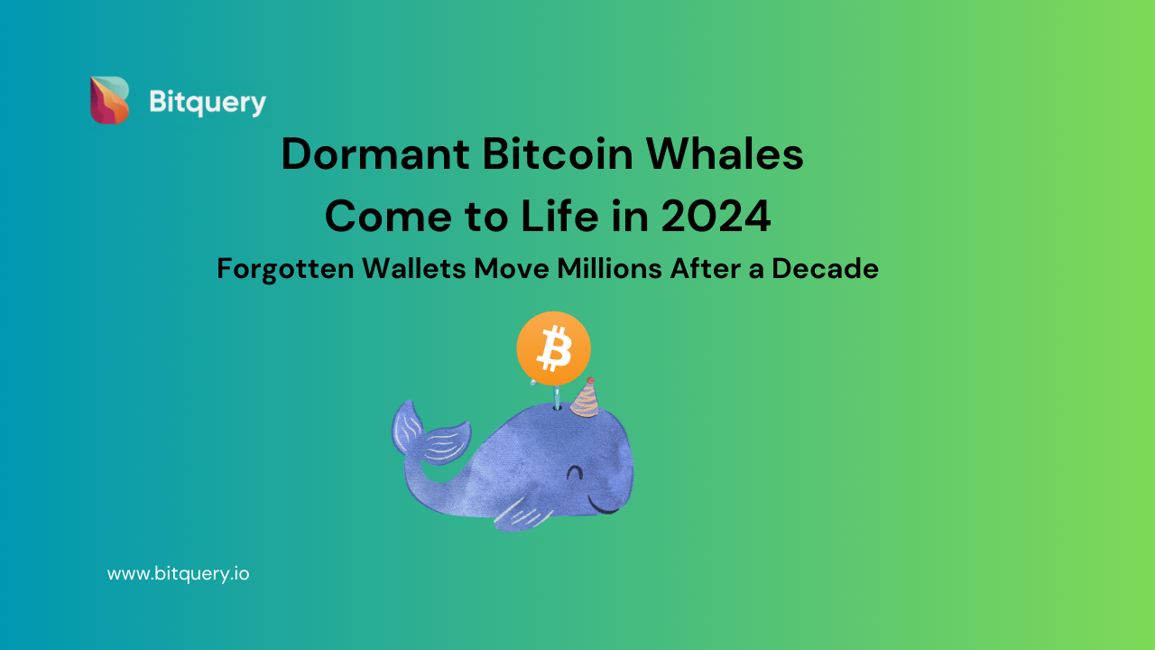 10+ Year Dormant Bitcoin Whales Come to Life in 2024 - Bitquery