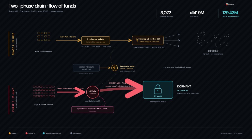 Two-phase drain flow of funds: Phase 1 on 21 June disperses ~12.3M ADA from ~198 victim wallets through three collector wallets and Minswap V2 into an untraceable cloud; Phase 2 on 23 June sweeps ~129.43M ADA from ~2,874 victim wallets through hub A1 into dormant vault A2; a shared fee-funder wallet bankrolled both waves across 406 transactions. 3,072 wallets drained total.