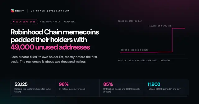 Cover Image for Robinhood Chain memecoins padded their holder counts with 49,000 addresses nobody uses
